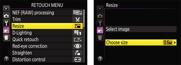 Illustration of the Resize option of the Retouch Menus setting to resize a batch of photos, which is a quicker process.