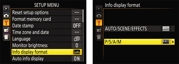 Illustration of the Info display format in the Setup Menu setting to modify the look of the Information display.