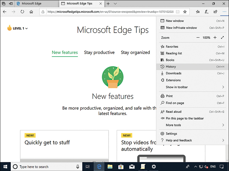 A screenshot shows the Microsoft Edge browser with two tabs open. The Microsoft Edge Tips website is shown. On the right side of the screen, the Settings menu shows a list of options including New Window, New InPrivate Window, Zoom, Favorites, Reading List, Books, and History (highlighted).