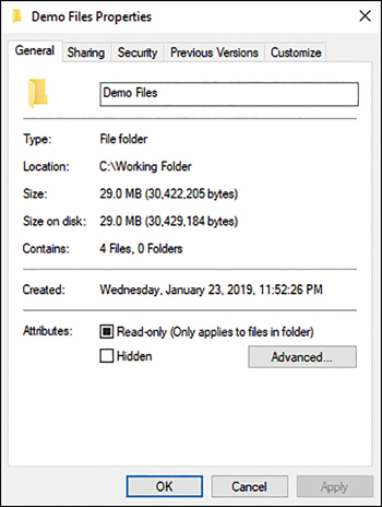A screenshot shows the demo files properties screen with five tabs: General (selected), Sharing, Security, Previous Versions, and Customize). The General tab lists properties of the file including Type, Location, Size, and Created Date.