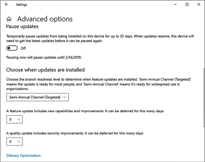 A screenshot shows the Update & Security node of the Settings app. On the Advanced Options page, two sections are displayed. Under the Pause Updates heading, the setting is Off. Under the Choose When Updates Are Installed heading, the Semi-Annual Channel (Targeted) option is selected. Additionally, the deferral value for both Feature updates and Quality updates is 0. A link is also visible for Delivery Optimization.
