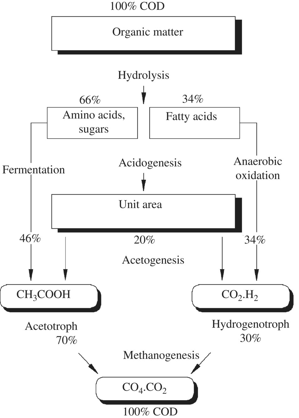 Flowchart illustrating the anaerobic degradation of organic compounds of leachate, starting from organic matter branching to amino acids and fatty acids, to unit area, leading to CO4.CO2.