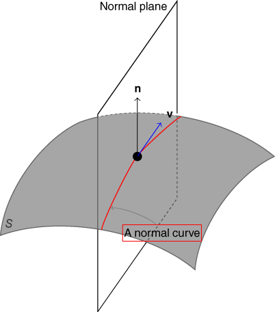 Illustration of the normal vector, normal plane, and normal curve; rotating the normal plane around the normal vector n is equivalent to rotating the tangent vector v around n. 