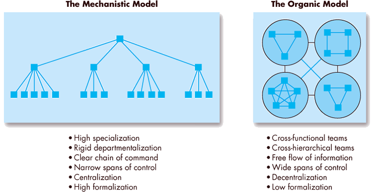 An illustration shows the contrast between the mechanistic model and the organic model along with the main features of each model.