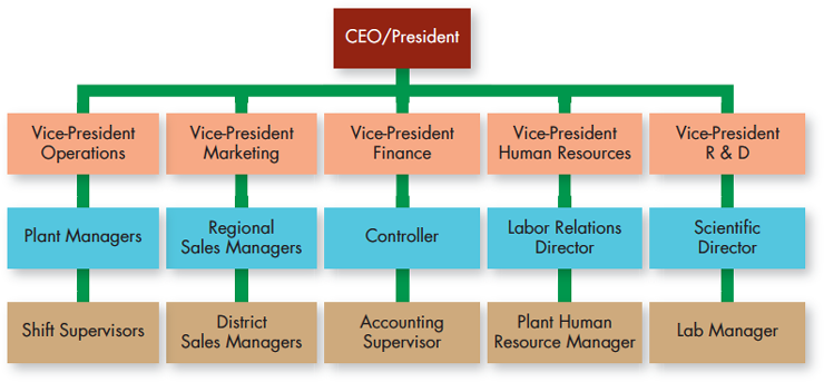 A flowchart illustrates the features of functional structure in an organization.