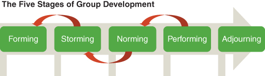 The five stages in Tuckman's model of group development are shown. The five stages are forming, storming, norming, performing, and adjourning. Arrow marks also indicate that teams can fall back to the previous stages.