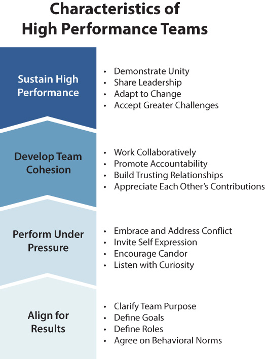 A figure shows the characteristics of a high-performance team.