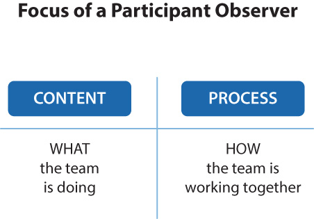 A figure shows the focus of a participant observer. The two columns labeled content and process. The text under the content reads, what the team is doing and the text under the process reads, how the team is working together.