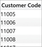 The report only shows one column, Customer Code.