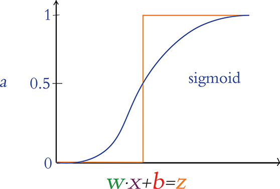 A graph represents the sigmoid activation function.