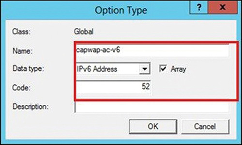 A screenshot depicts the option type dialogue box. The Global is entered for Class. The Name box, Data Type drop-down with a checkbox, and Code box are entered and highlighted. The Description box is shown. The OK (selected) and Cancel buttons are shown at the bottom.