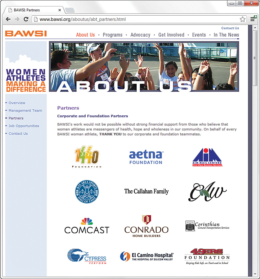 A screenshot of the BAWSI webpage. The main body area shows 12 different logos (images) in a four cross three grid layout.