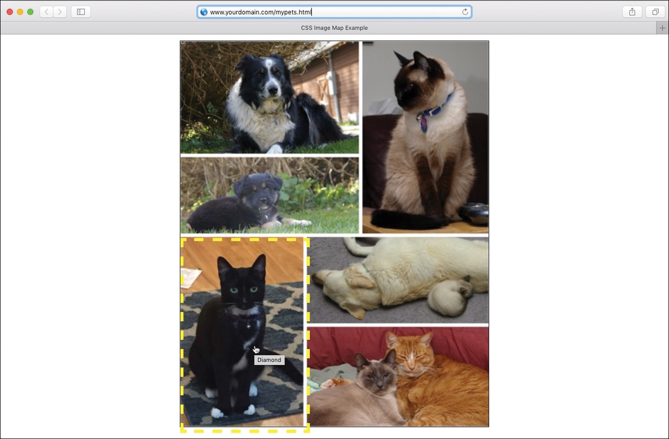The mypets.html page (displayed in Firefox) shows the photographs of a few cats and dogs. Here, a dashed borderline is present over the photo of a specific cat. Hovering the mouse pointer over the photograph displays the text "Diamond" (the cat’s name). 
