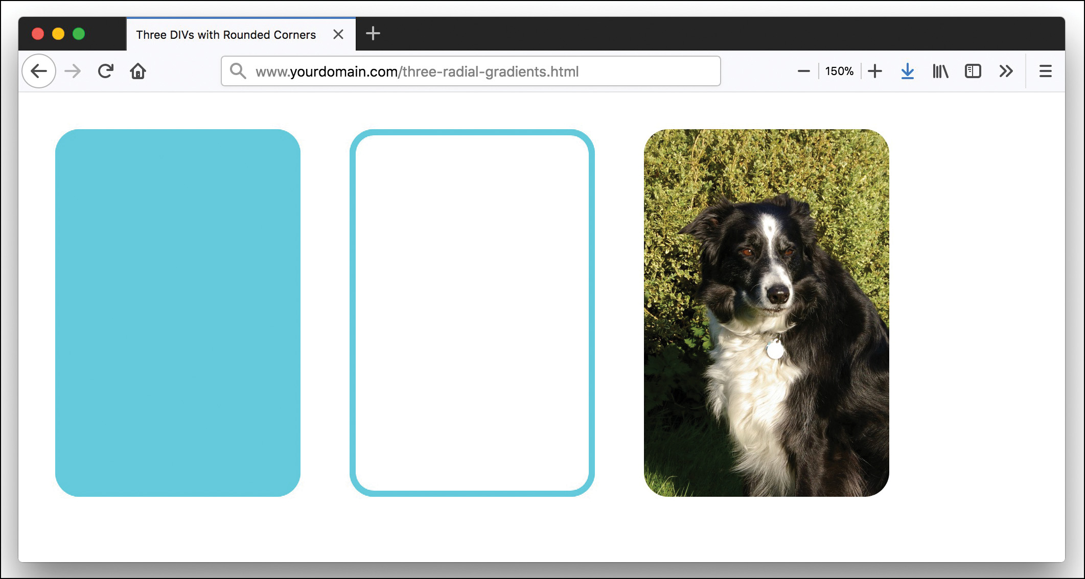 A screenshot shows three <div> elements. All three elements have rounded corners. The first element is filled with a background color, the second element is empty but has a colored border, and the third element has a background image of a dog. 