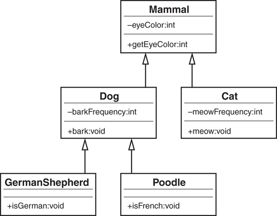 The Mammal UML diagram is shown.