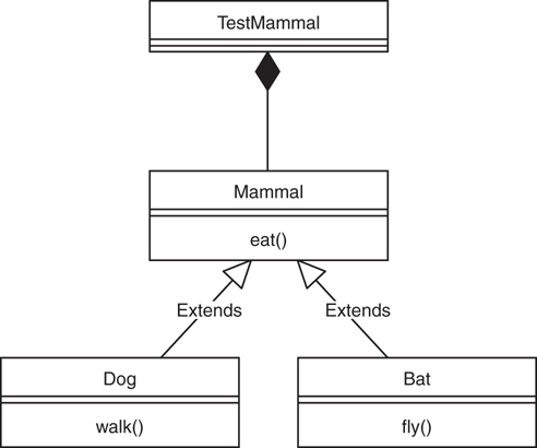 Usage of inheritance to create the Mammal heirarchy.