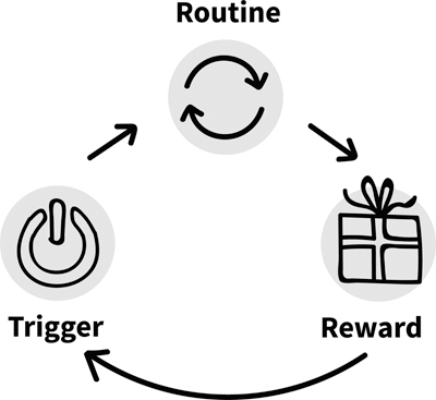 The habit loop consists of: "routine, reward, trigger." These are connected to one another.