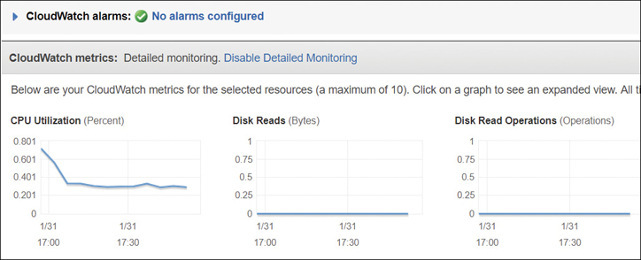 A screenshot shows cloud watch metrics: CPU utilization (percent), disk reads (bytes), and disk read operations (operations). All the three metrics are represented by a curve, each.