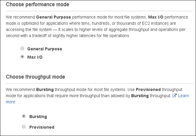 A screenshot shows the selections for EFS performance.