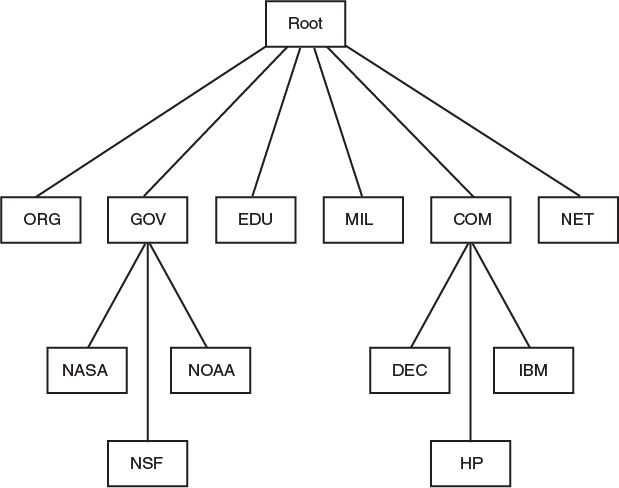 The hierarchical structure of DNS is shown.