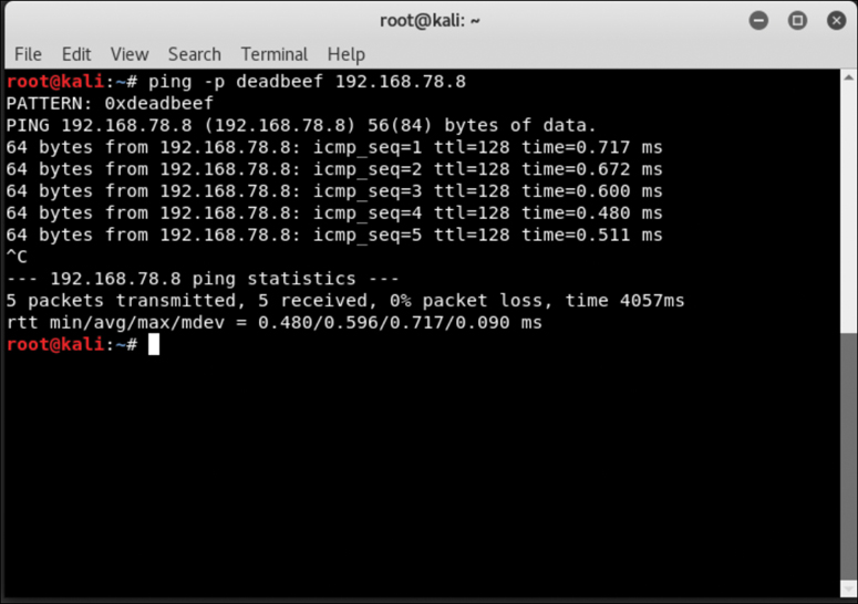 The screenshot of the Linux root@kali window shows the execution of ping command and hex string deadbeaf.