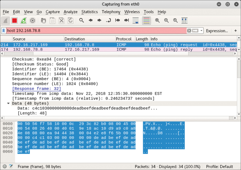 A screenshot shows the output screen of the Wireshark ping capture program.