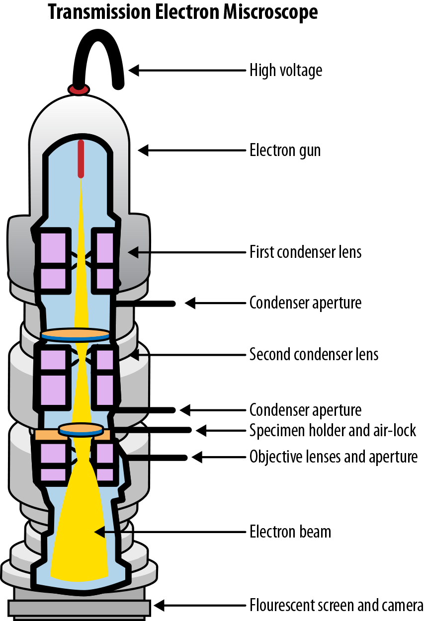 The components of a modern transmission electron microscope.