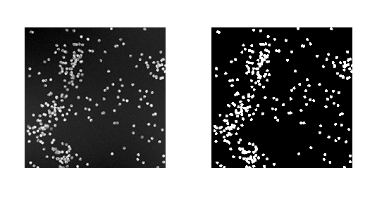 A synthetic dataset of cells (on the left) along with foreground/background masks annotating where cells appear in the image.