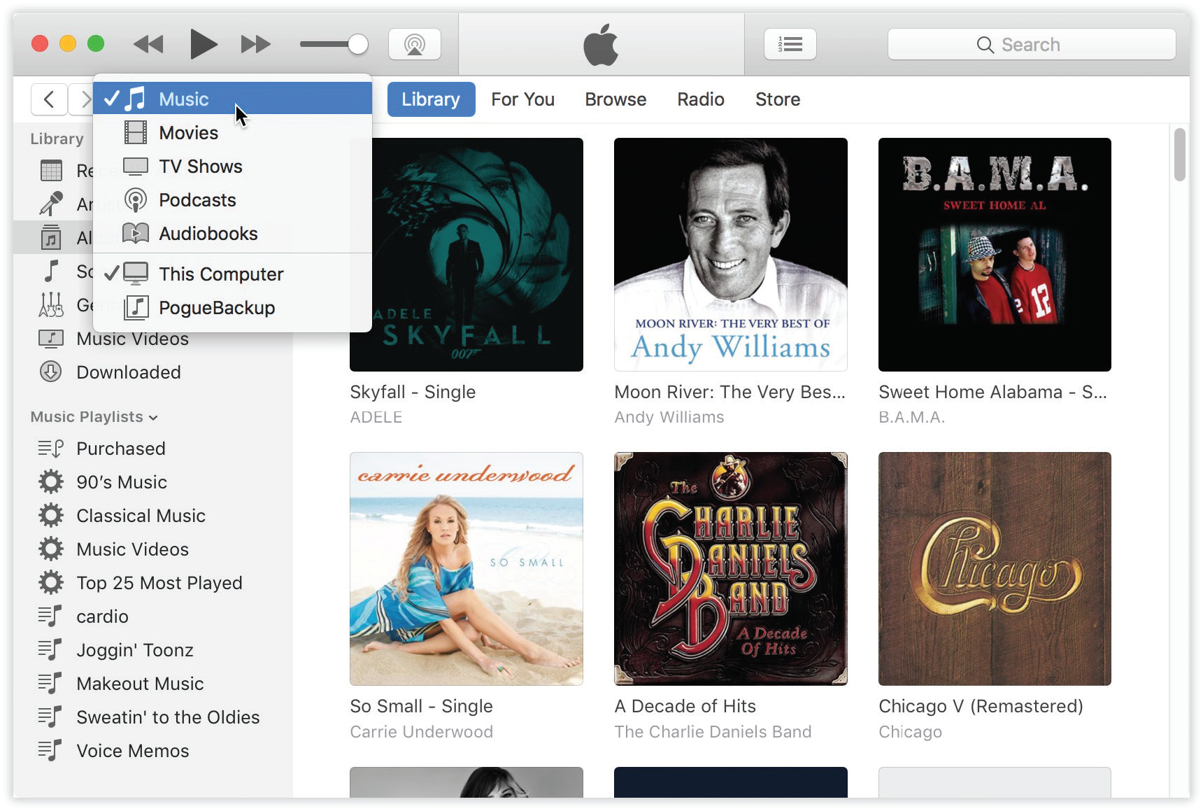 iTunes can play music CDs; tune in to internet radio stations; load up your iPod, iPhone, or iPad; and play music files.