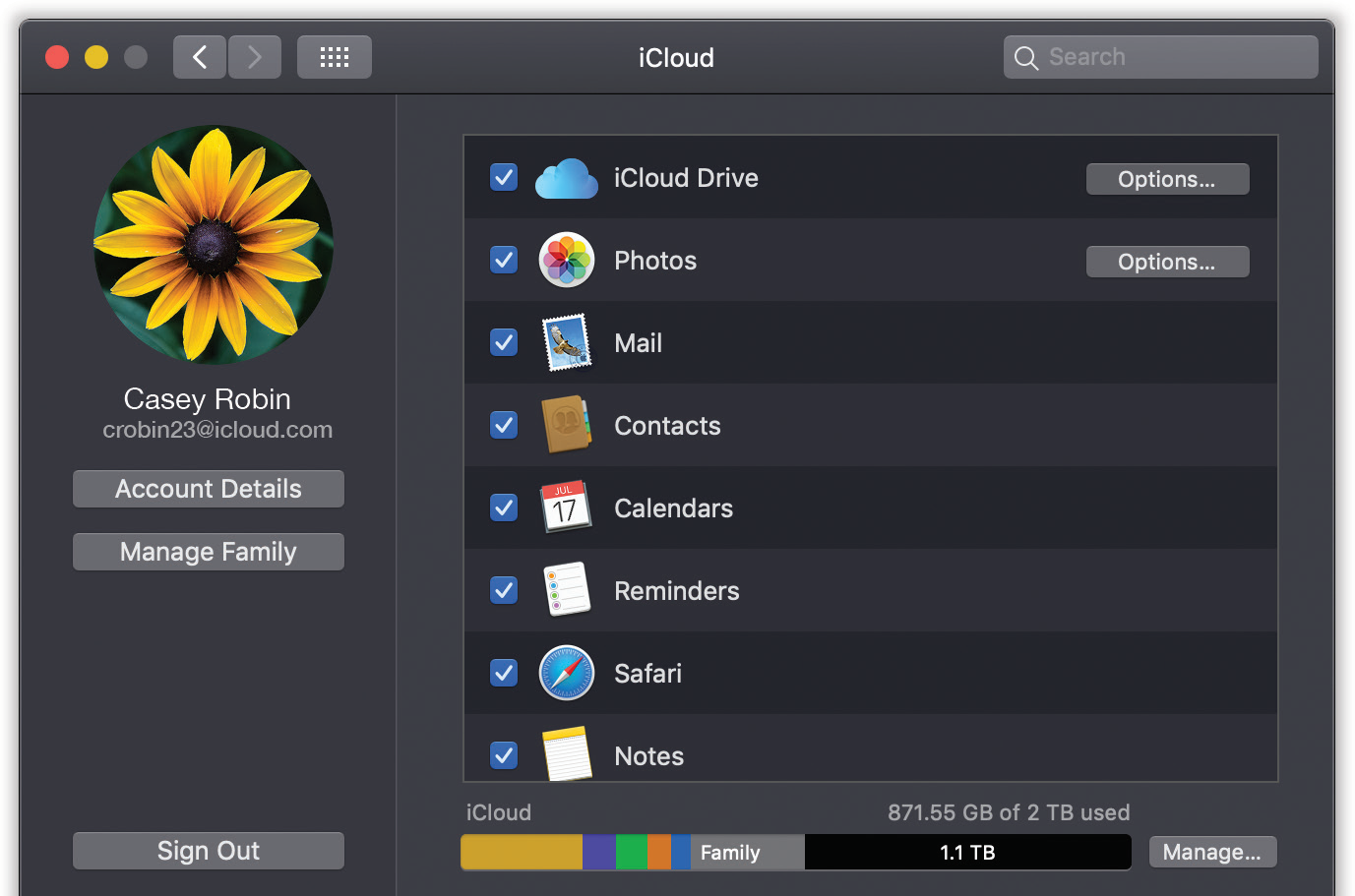 The headquarters of iCloud’s features. You’ll find a nearly identical panel on your iPhone, iPad, or iPod Touch (in Settings → iCloud).