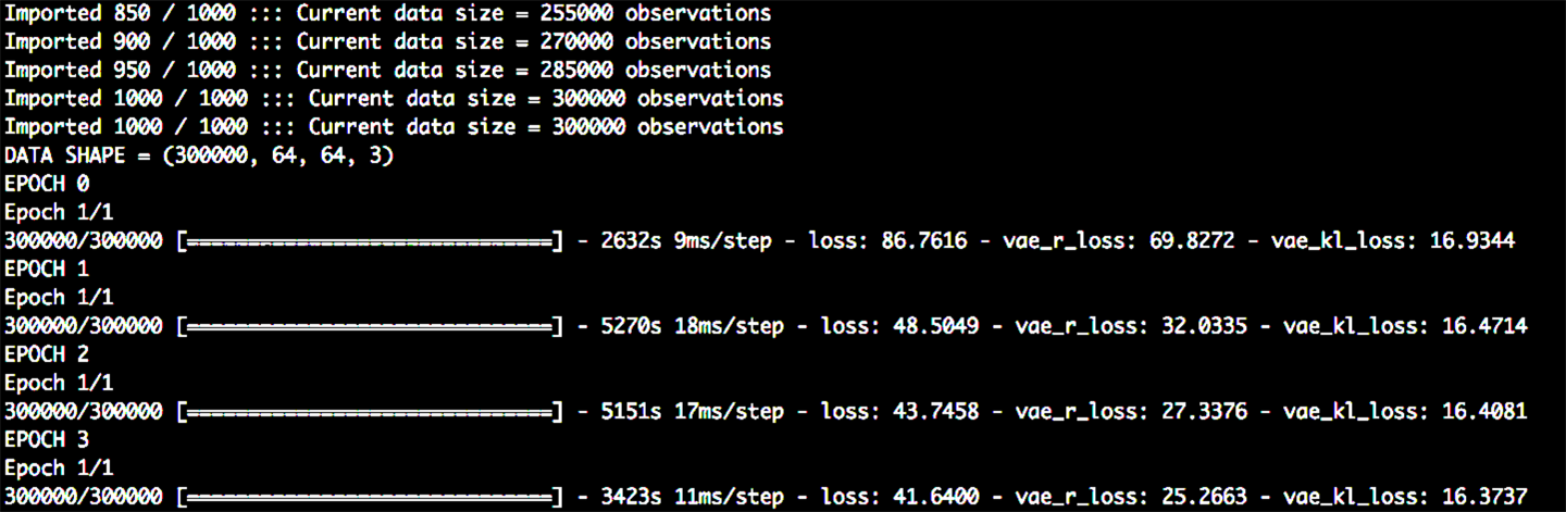 Training the VAE