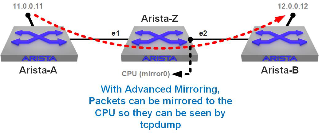 Tcpdump with Advanced Mirroring