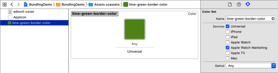 images/projects/xcode-asset-catalog-color.png