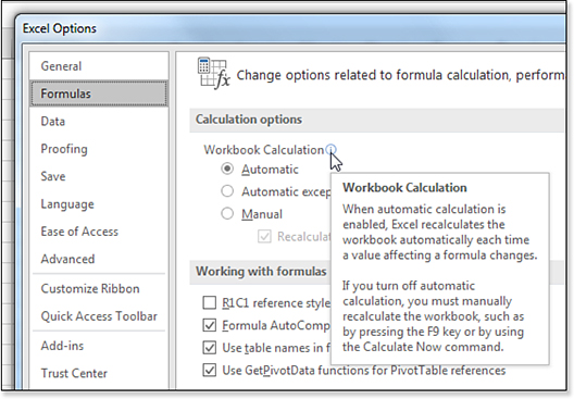 Hover over the circled i icon for Workbook Calculation and a multi-paragraph tooltip appears with information about that option.