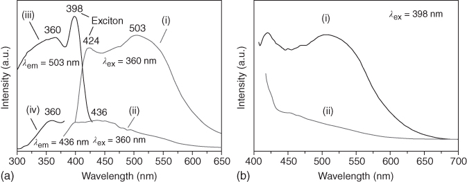 Graphs depicting broadband emission from an optically active organic component in (C6H13N3)PbBr4 perovskite. (a) PL emission (i and ii) and excitation (iii and iv) spectra for (C6H11N3).2HBr (i, ii) and the perovskite compound 1 (iii, iv) under the same instrumental conditions. (b) PL emission spectrum of perovskite (i) (C6H13N3)PbBr4 and (ii) (C6H11N3).2HBr excited at 398 nm.