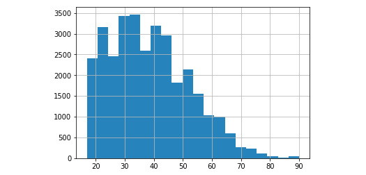 Figure 4.68: Histogram of age with a bin size of 20