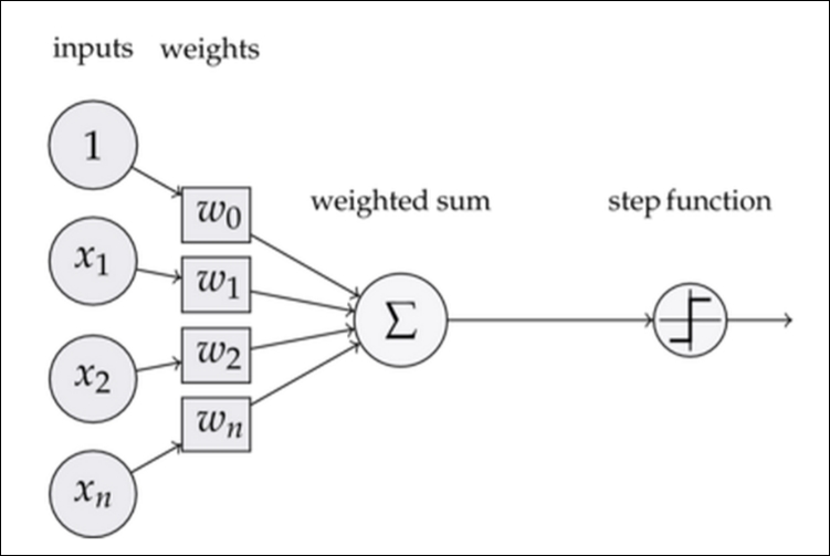 Basic structure