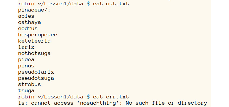 Figure 2.2: Contents of out.txt and err.txt showing independent redirection of stdout and stderr