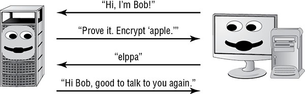 Diagram shows Bob machine sends to Alice machine "Hi, I am Bob", Alice replies "Prove it, encrypt 'apple'", Bob sends "elppa", and Alice replies "Hi Bob, good to talk to you again".