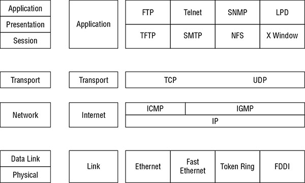 Diagram shows Ethernet, fast Ethernet, token ring and FDDI as link layer protocols, IP, IGMP and ICMP as internet layer protocols, TCP and UDP as transport layer protocols, FTP, Telnet, SNMP, LPD, TFTP, SMTP, NFS and X Window as application layer protocols.