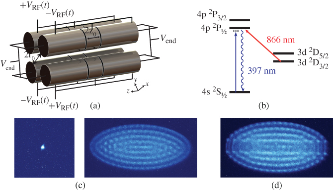 Illustration of Linear radiofrequency (RF) ion traps and coulomb crystals.