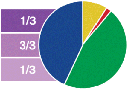 A pie chart depicting Nikki's profile for analytical/structural thinking. The pie chart is classified into four different parts: blue, orange, red, and green.