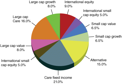 Figure depicting a typical asset allocation pie chart. The percentage shares of care fixed income, international small cap equity, large cap value, large cap care, large cap growth, international equity, international small cap equity, small cap value, small cap growth, and alternative are 21.0, 5.0, 8.0, 16.0, 8.0, 9.0, 5.0, 6.5, 6.5, and 15, respectively.
