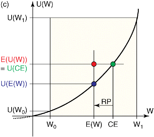 Figure depicting utility function of a risk-seeking individual.  CE: certainty equivalent, E(U(W)): expected value of the utility (expected utility) of the uncertain payment, E(W): expected value of the uncertain payment, U(CE): utility of the certainty equivalent, U(E(W)): utility of the expected value of the uncertain payment, U(W0): utility of the minimal payment, U(W1): utility of the maximal payment, W0: minimal payment, W1: maximal payment, RP: risk premium.