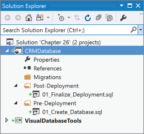 Screenshot of project in the Solution Explorer.