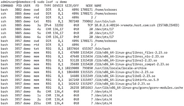 Table shows columns for COMMAND (bash, ssh), PID, USER (demo), FD, TYPE (DIR, IPv4, mem, txt), DEVICE, SIZE/OFF, NODE, and NAME.