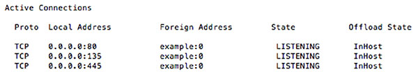 Table shows active connections with columns for proto, local address, foreign address, state, and offload state.