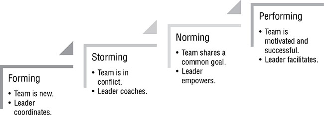 Diagram shows Tuckman's ladder displaying forming (team in new), storming (team in in conflict), norming (team shares common goal), and performing (team is motivated and successful).