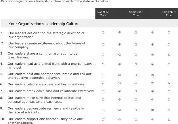 A screenshot depicting the community of leaders survey, where instructions and organization's leadership culture are described.