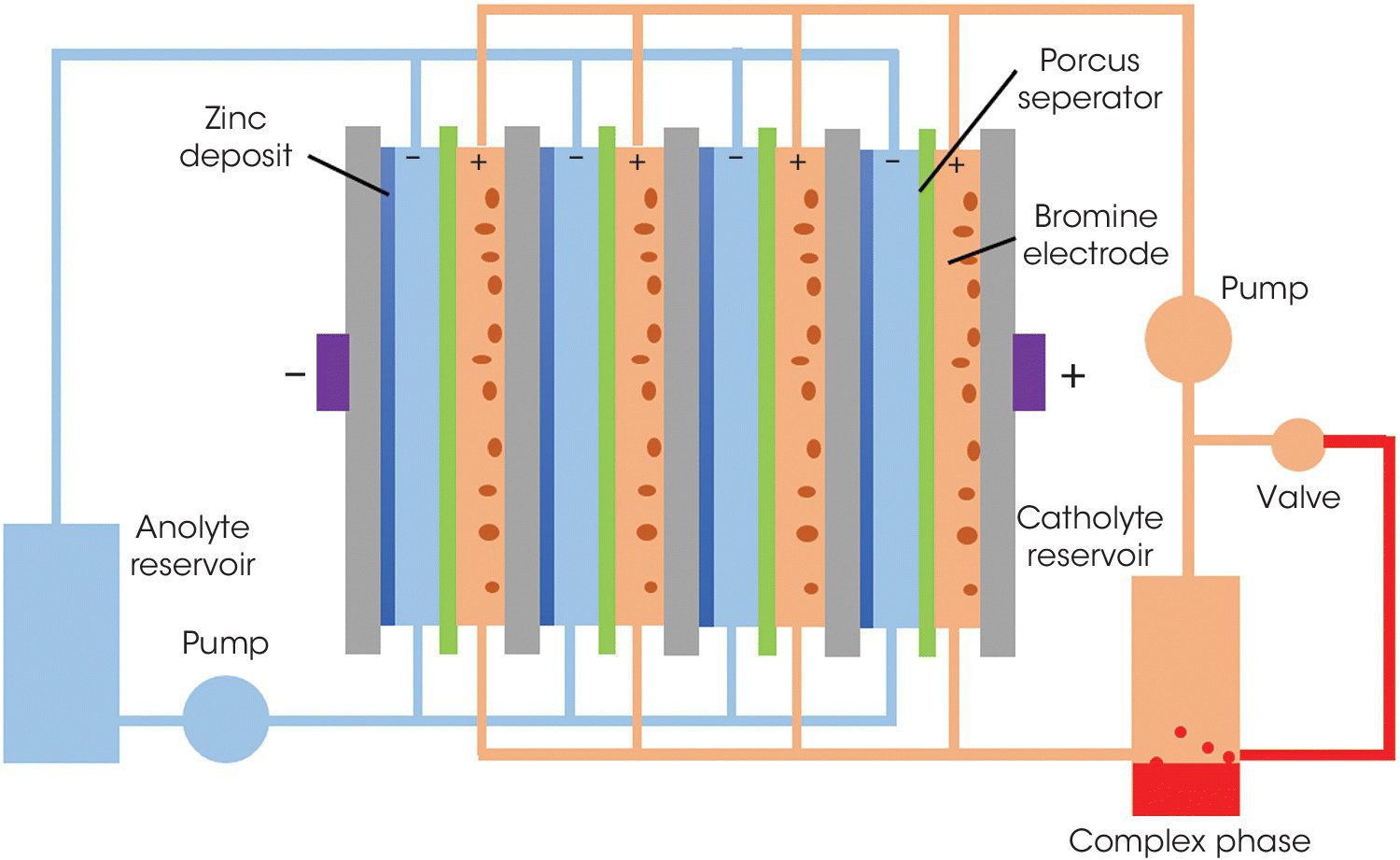 Schematic of a flow‐assisted battery composed of the anolyte reservoir, 2 pumps, porcus separator, catholyte reservoir, and valve. Line depicts zinc deposit and bromine electrode.